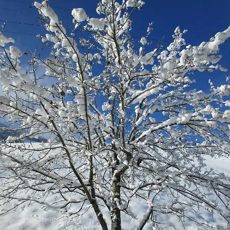 Directly In The Hochkoenig Ski Area